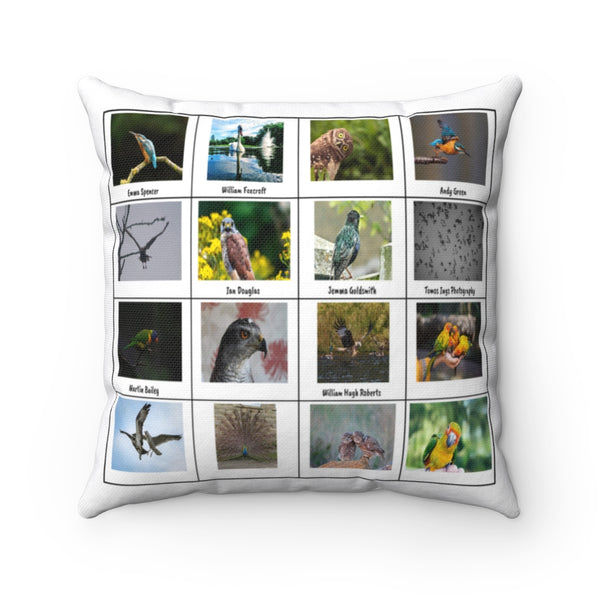 Wonderful Bird Photography (Version 7)