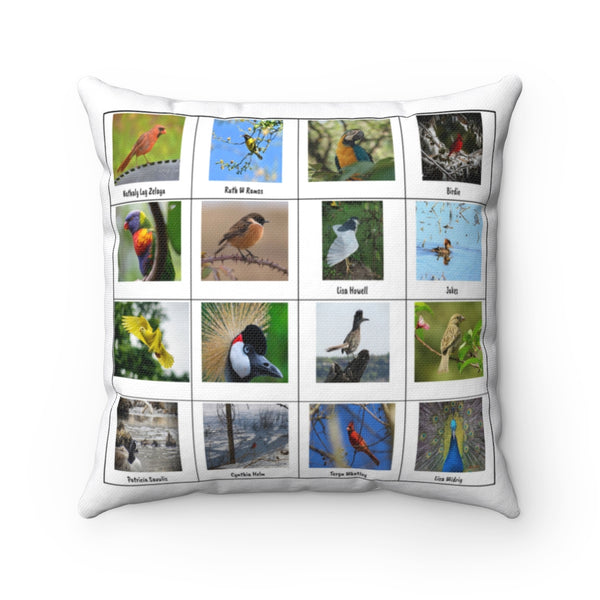 Incredible Bird Photography (Version 1)
