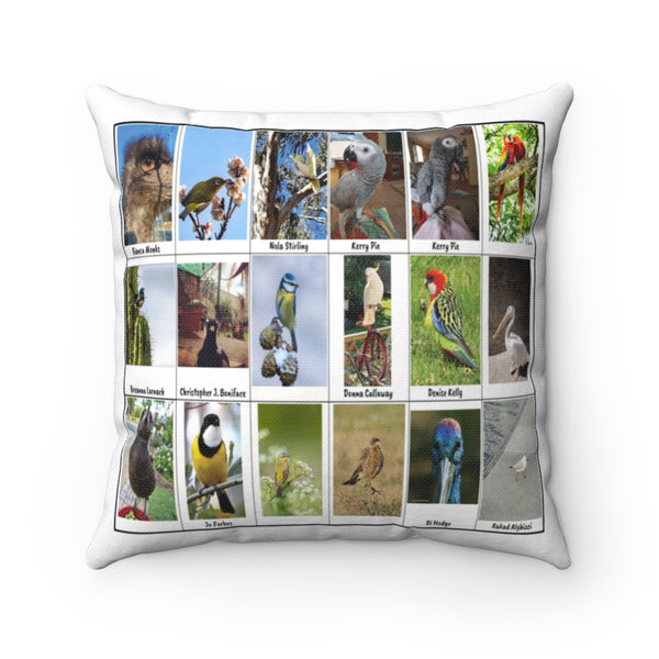 Exceptional Bird Photography (Version 7)