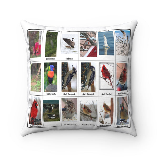 Impressive Bird Photography (Version 3)