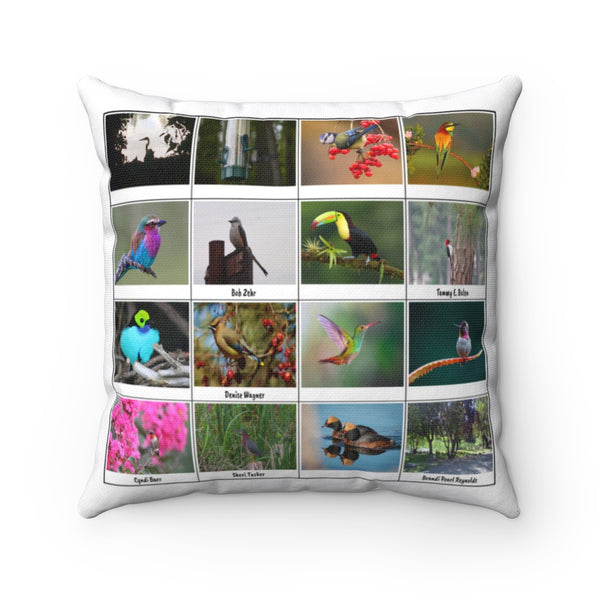 Sensational Bird Photography (Version 2)