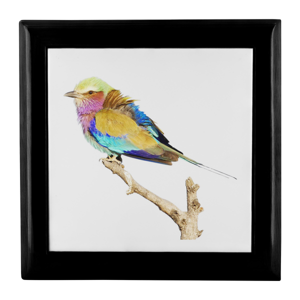 Lilac-breasted Roller Jewelry Box