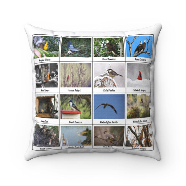 Extraordinary Bird Photography (Version 7)
