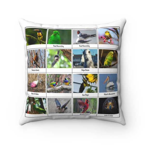 Superb Bird Photography (Version 2)
