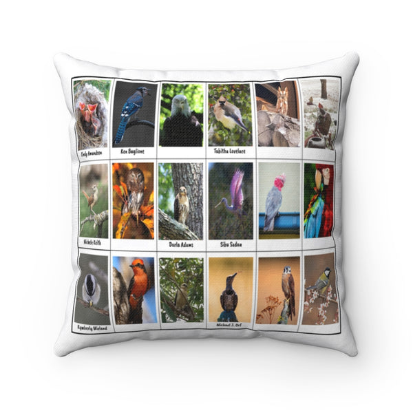 Outstanding Bird Photography (Version 6)