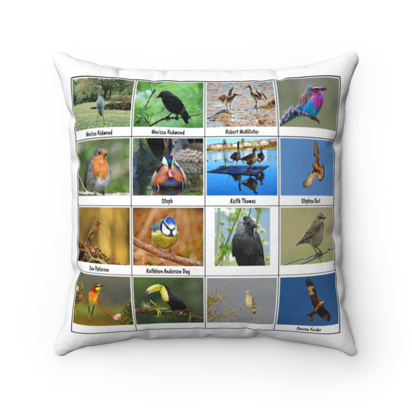 Fantastic Bird Photography (Version 3)