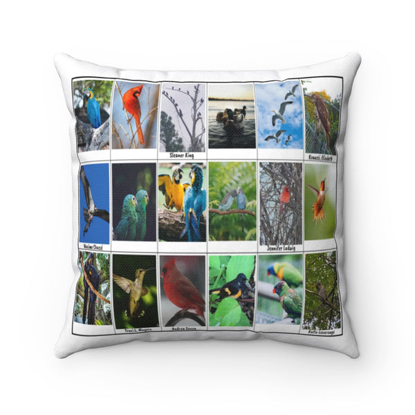 Splendid Bird Photography (Version 2)