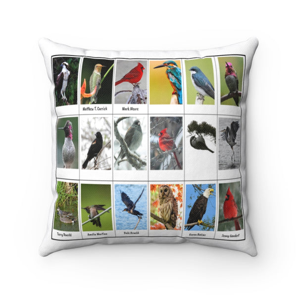 Superb Bird Photography (Version 3)