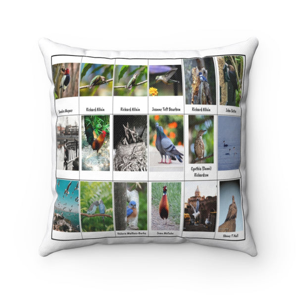 Gorgeous Bird Photography (Version 3)