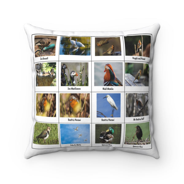 Excellent Bird Photography (Version 8)