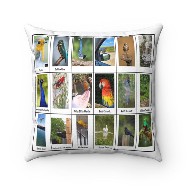 Wonderful Bird Photography (Version 3)