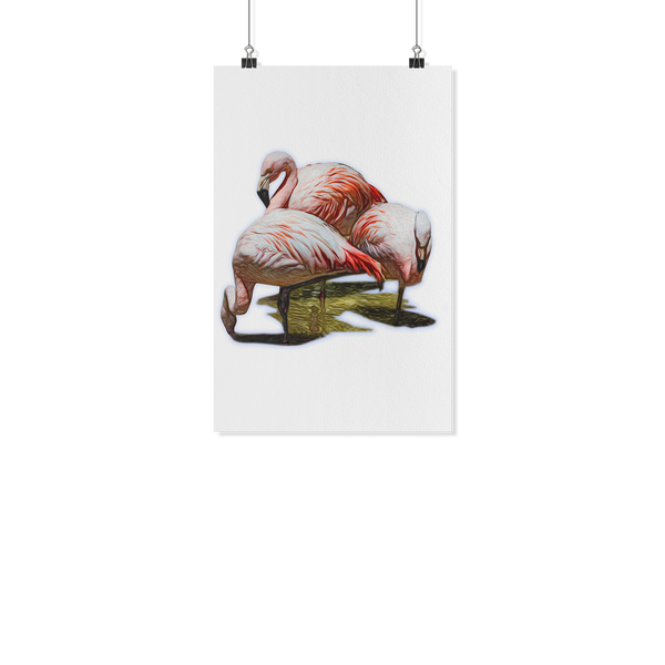 Flamingo Poster
