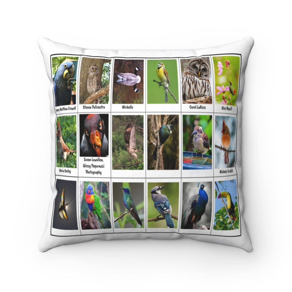 Outstanding Bird Photography (Version 7)