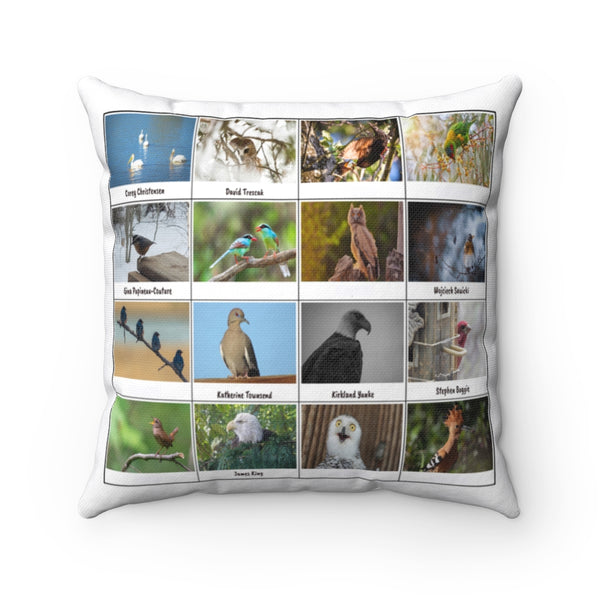 Pleasant Bird Photography (Version 7)
