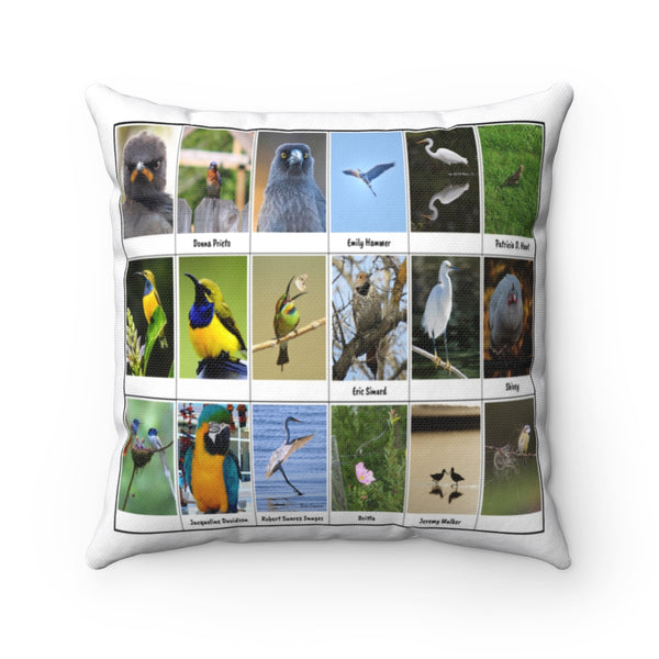 Riveting Bird Photography (Version 5)