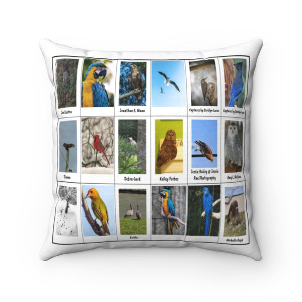 Unbelievable Bird Photography (Version 2)