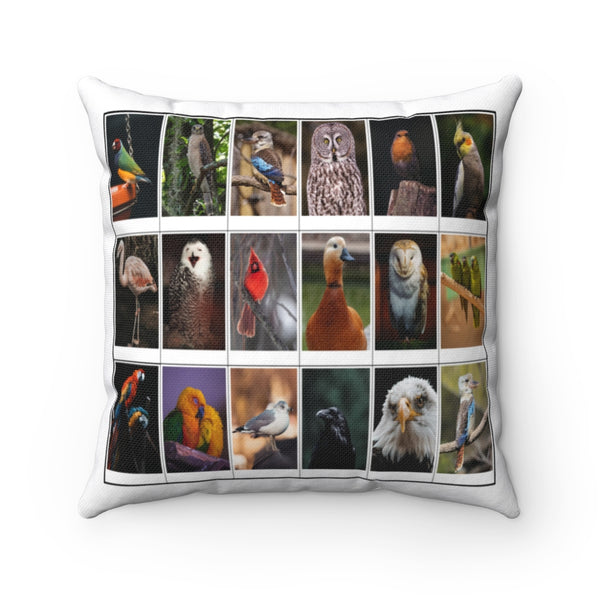Wondrous Bird Photography (Version 8)