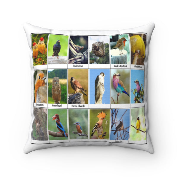 Fantastic Bird Photography (Version 5)