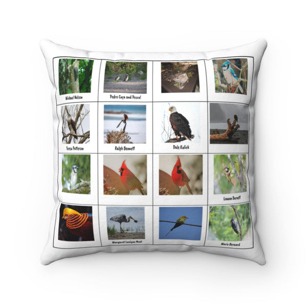 Dazzling Bird Photography (Version 4)