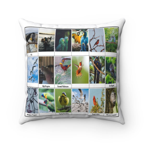 Ravishing Bird Photography (Version 1)