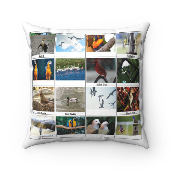 Splendid Bird Photography (Version 3)