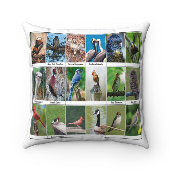 Amazing Bird Photography (Version 5)
