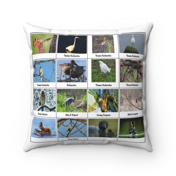 Riveting Bird Photography (Version 8)