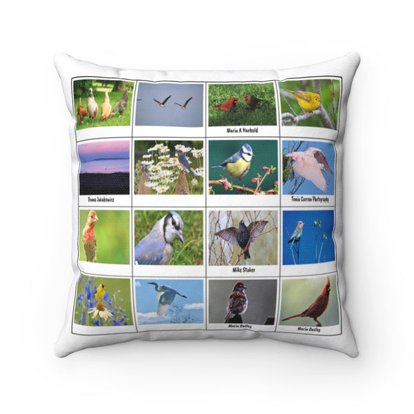 Outstanding Bird Photography (Version 7)