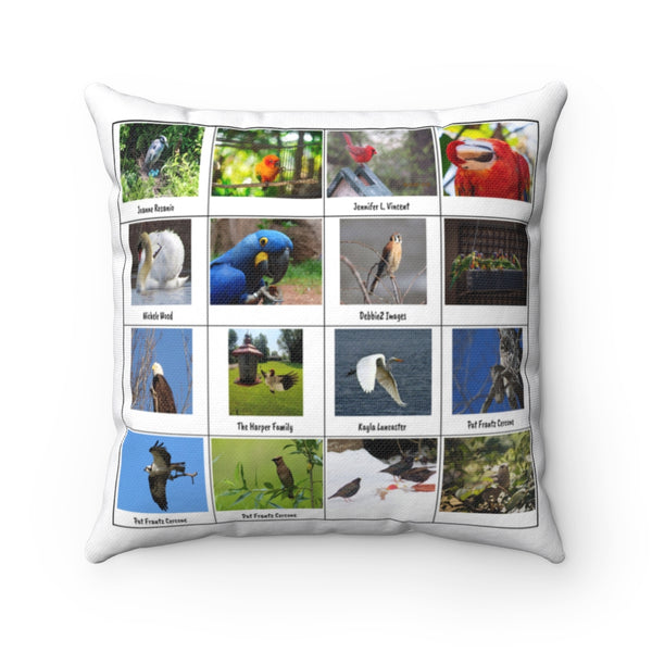 Incredible Bird Photography (Version 6)