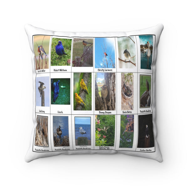 Awe-Inspiring Bird Photography (Version 4)