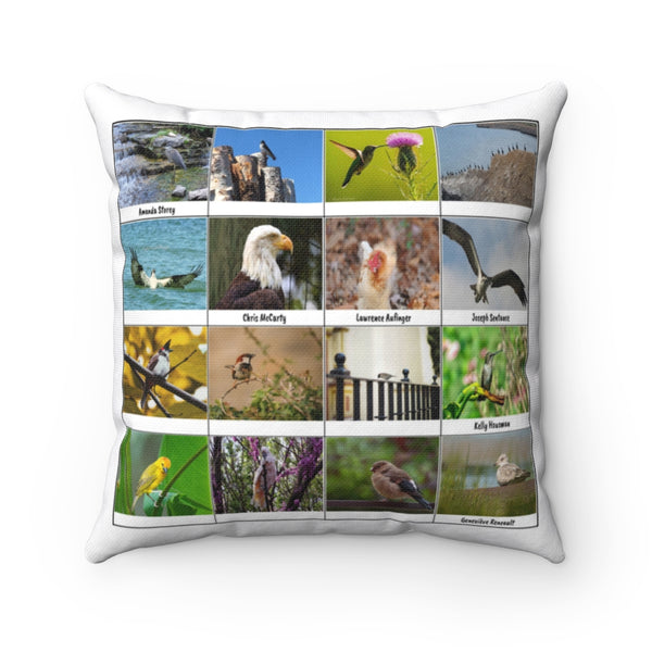 Striking Bird Photography (Version 8)