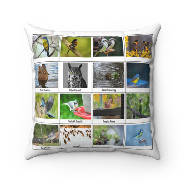Fascinating Bird Photography (Version 1)