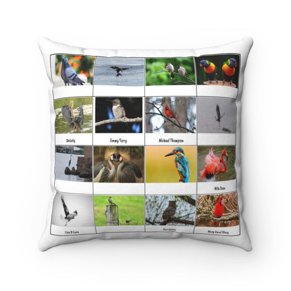 Special Bird Photography (Version 1)
