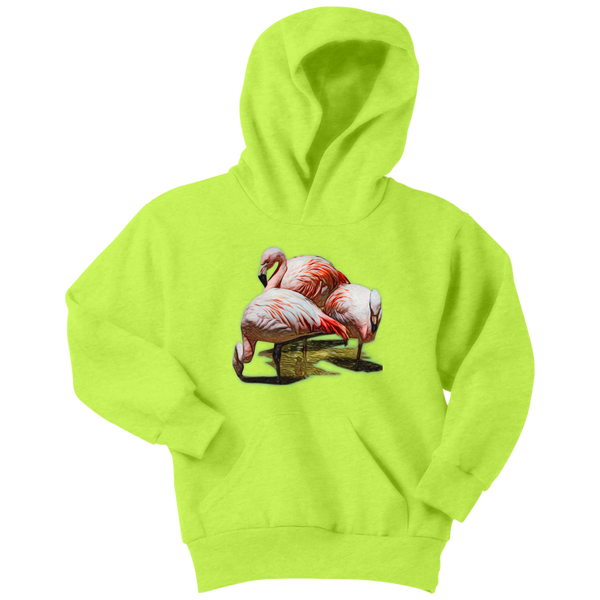Flamingo Youth Hoodie