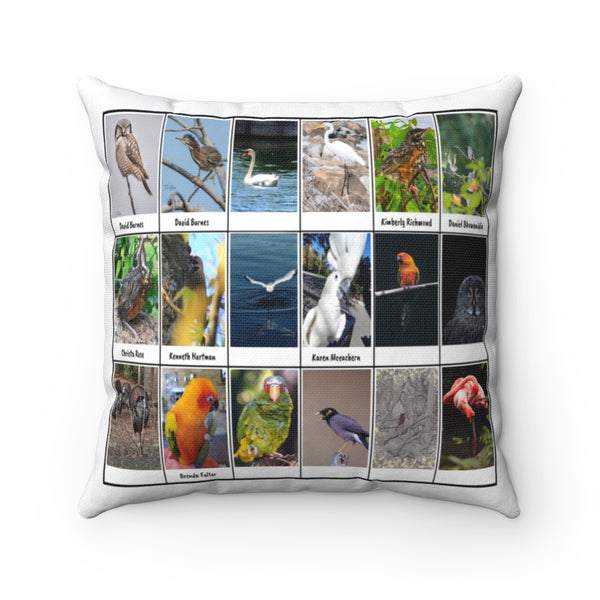 Astonishing Bird Photography (Version 5)