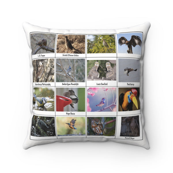 Fascinating Bird Photography (Version 2)