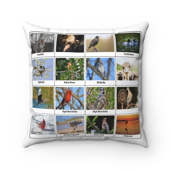 Outstanding Bird Photography (Version 5)