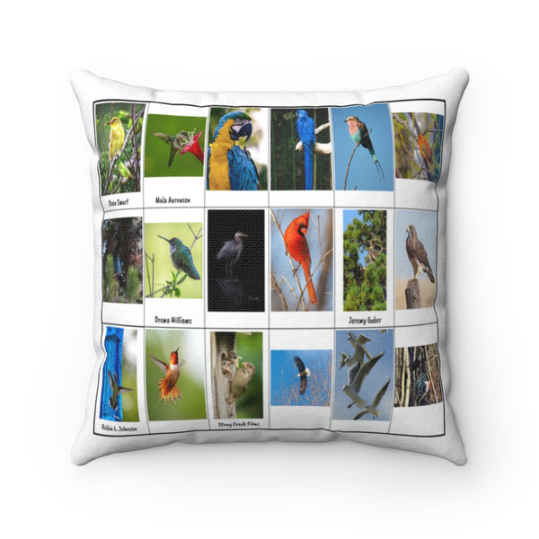 Gorgeous Bird Photography (Version 1)
