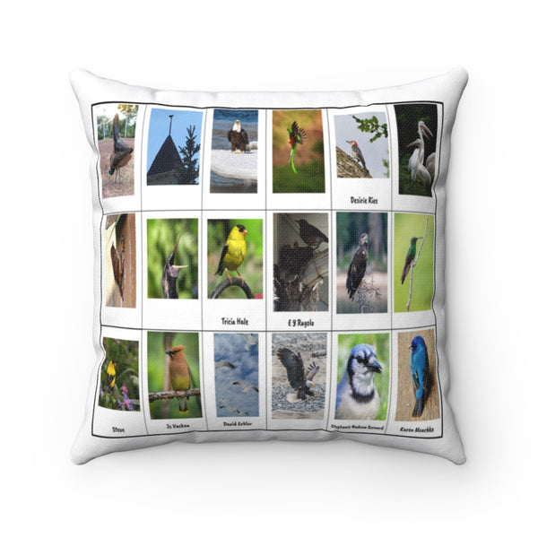 Remarkable Bird Photography (Version 1)