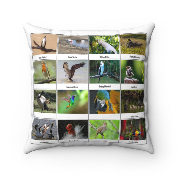 Tremendous Bird Photography (Version 5)