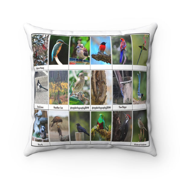 Pleasant Bird Photography (Version 1)