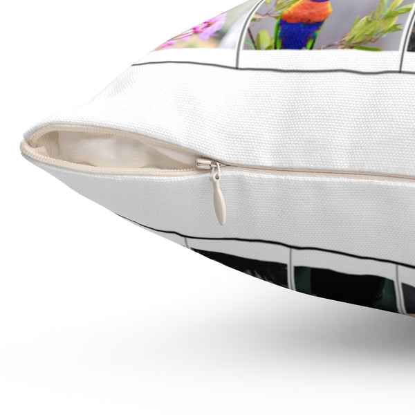 Marvelous Bird Photography (Version 8)