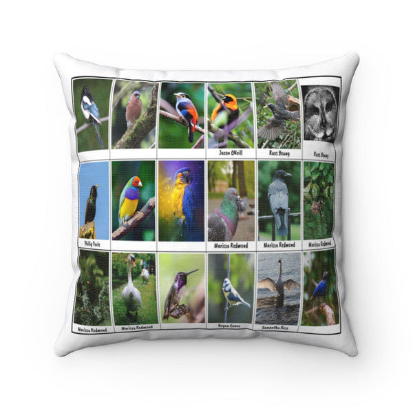 Fantastic Bird Photography (Version 2)
