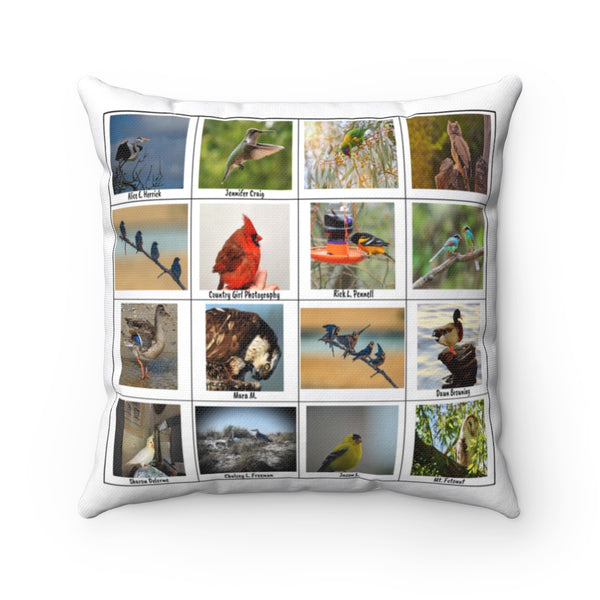Bird Photography (Version 8)