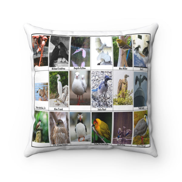 Splendid Bird Photography (Version 6)