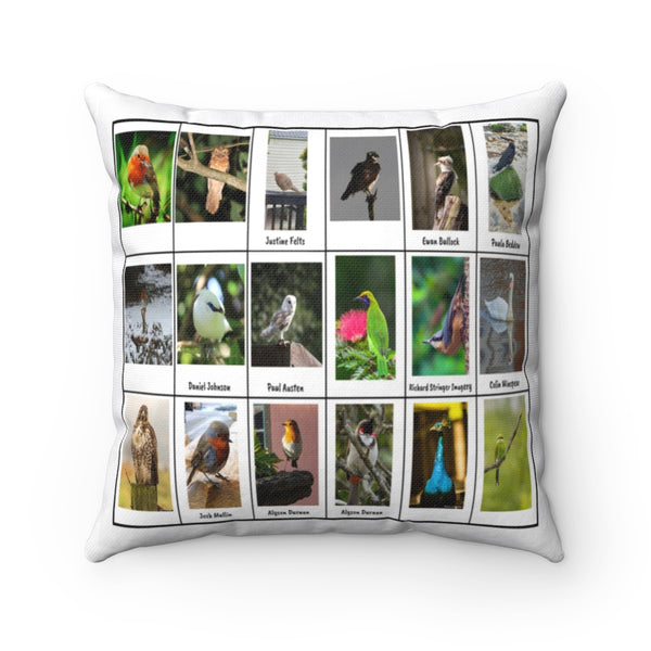 Wonderful Bird Photography (Version 5)