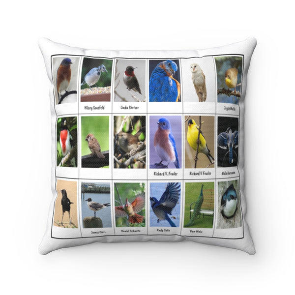 Superb Bird Photography (Version 7)