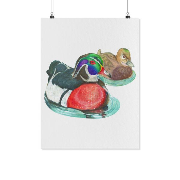 Wood Duck Poster