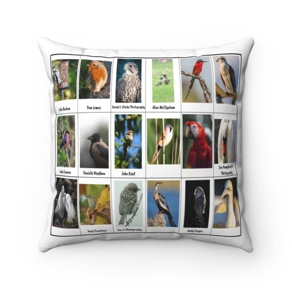 Spectacular Bird Photography (Version 5)