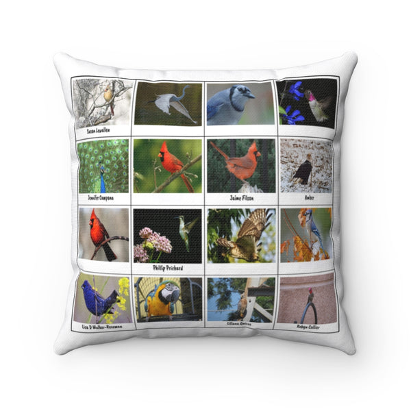 Outstanding Bird Photography (Version 6)